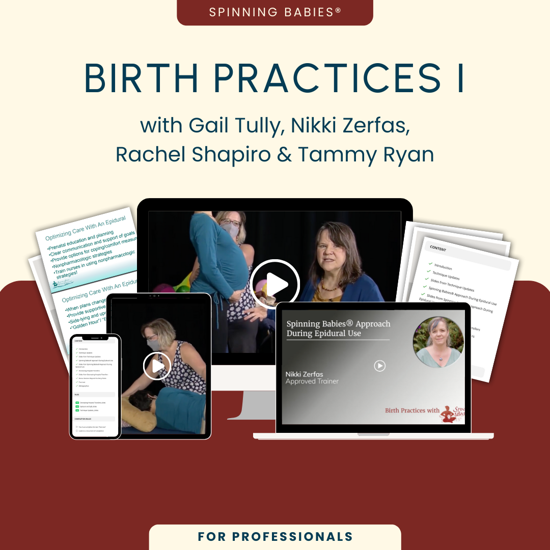 Spinning Babies Find a Foundational Workshop Near You